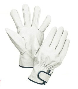 咆YƁ@؊v܁@썑NXg@}WbNt@113W@ؕ\v@܁@10o@LTCY