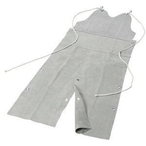 咆YƁ@vt[nChi҃Aetj@AP-23@si