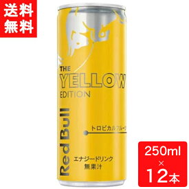 レッドブル エナジードリンク イエローエディション 250ml×12本 送料無料 炭酸飲料 栄養ドリンク Red Bull 翼をさずける カフェイン redbull 炭酸缶