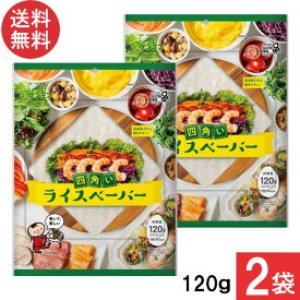 ケンミン 送料無料 ライスペーパー 120g 2袋 家庭用 簡単 インスタント ライスペーパー お米