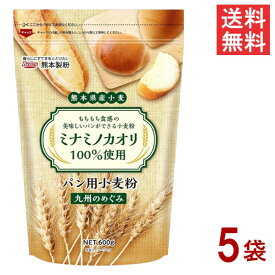熊本県産小麦 九州のめぐみ ミナミノカオリ 国産 強力小麦粉 600g×5袋 送料無料