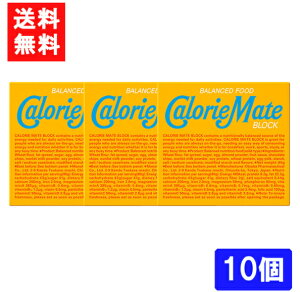 送料無料 大塚製薬 カロリーメイト ブロック バニラ味 4本 ×10個