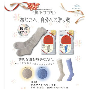 CTv ܂ł\bNX ꕿ C { BIu[ tFU[x[W 2025H~