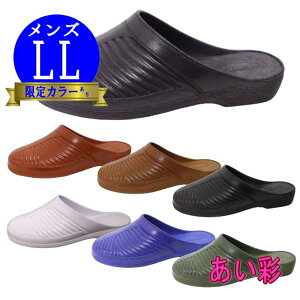 ST_ Y 360^ LLTCY ֏T_ xT MT V[ Xbp r[` v[  am PEARL p[ ےHƏgC a@  ~[ wZ H {  