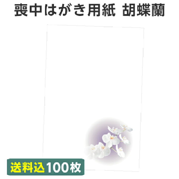楽天市場 喪中はがき 用紙のみ 100枚 送料込み 胡蝶蘭 こちょうらん ベーシック 喪中 寒中見舞い はがき 喪中ハガキ 用紙 無地 花 デザイン 絵柄 台紙 年賀欠礼 年賀状辞退 挨拶状 はがき 印刷 帰蝶堂