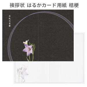 TԂ  A ͂邩J[h p̂ 10 2 WJ[h ͈Ȃ  Au V  ܂ fUC G D sN  F j[ 