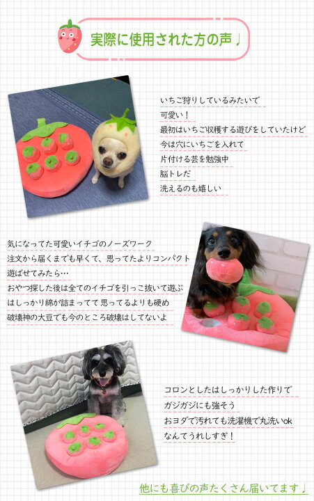 楽天市場 インスタで大人気 楽天ランキング1位 即納 Sns 犬 知育おもちゃ いちご畑 ニンジン畑 狩り 丸洗い可能 おやつ発掘 梅雨や夏のお散歩が行けない日に 運動不足解消 ストレス解消 ペット用おもちゃ ノーズワーク 可愛い ペットが夢中になる 愛pets