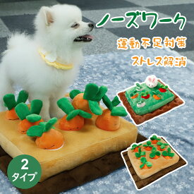 楽天市場 犬 おもちゃ 人参の通販 楽天市場 犬 おもちゃ 人参の通販