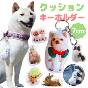 yzAisdelu I[_[Ch IWiNbVL[z_[ ybg NbV L[z_[ I[_[NbV AObY ʐ^ v[gvo LOi 蕨 