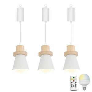 3Zbg y_gCg ݂艺Cg [Rbvt tbNŌŒ 莞[ut RFEFEdF3F߉ ߉ 5W[dd zCgVF[ha12cm*10cm 