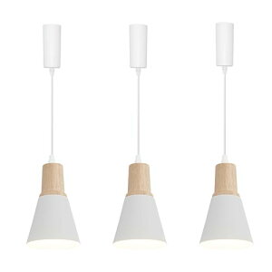 3Zbg y_gCg ݂艺v R[hȂ100cm [Rbvt 100cm͈͓ɒ߉ Ή E26Ή _Ng[ ֏Ɩ CeACg ݂艺Cg zCgV