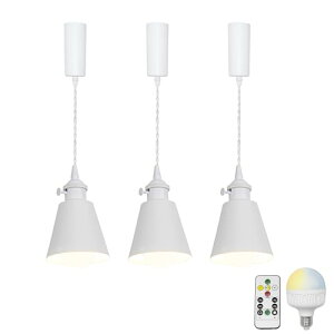 3Zbg y_gCg ݂艺Cg [Rbvt tbNŌŒ 莞[ut RFEFEdF3F߉ ߉ 5W[dd zCgVF[ha12cm*10cm z