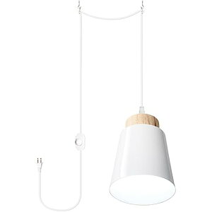 y_gCg ݂艺Cg E26Ή dʔ Ή R[h450cm XCb`t IEIt CeACg y_gv tȒP RZg ֏Ɩ Xܗp 