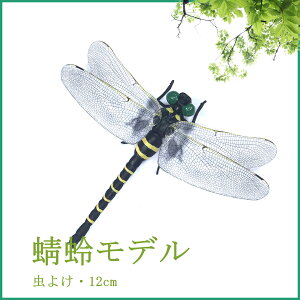 Ij}12cm tBMA 傫 Ss L[z_[ u[` x    ͌^ AEghA Lv EH[LO Ij}L[z_[ O ނ