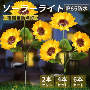 _10/17܂ŁI10%OFFN[|zz^y2{Zbgz K[fCg O \[[Cg Ђ܂胉Cg ߍݎ AEghA h Px ȃGl 뉀 K[f\[[Cg  
