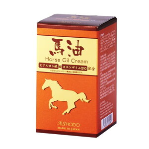 ϓ nN[ ێ ΍ H~΍ [Y̍ Y ^ RpNg nN[ qA_ Q10 IC70g Sg