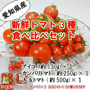 種 ミニトマト トマトの人気商品 通販 価格比較 価格 Com