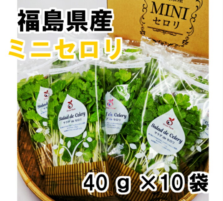 楽天市場 送料無料 福島県産 ミニセロリ40g 10袋福島 セロリ ミニセロリ サラダ 新鮮 お買い得 愛食コーナー