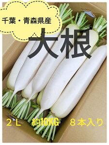 IItEXY2LTCY@10kg@8{卪@tY@XY@܂Ƃߔ@