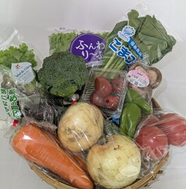 送料無料　野菜セット　デラックス　野菜11種類　野菜詰め合わせ　家族　一人暮らし　仕送り　プレゼント　ギフト　市場直送　新鮮野菜