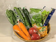 送料無料　野菜セット　ファミリーセットとラジウム玉子　野菜8種類　野菜詰め合わせ　家族　一人暮らし…