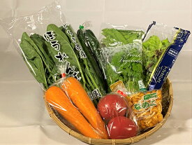 送料無料　野菜セット　ファミリーセットとラジウム玉子　野菜8種類　野菜詰め合わせ　家族　一人暮らし　仕送り　プレゼント　ギフト　市場直送　新鮮野菜