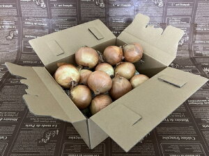 @kCY@ʂ˂@ʁ@3LVN@܂Ƃߔ@