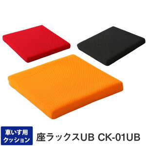 Ԉ֎q y RpNg ԂpNbV bNXUB p[c bh ubN IW a