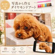 【10％OFFクーポン9/10限定】ダイヤモンドアート 写真 DIY ビーズ アート キット 初心者 ダイヤモンドア…