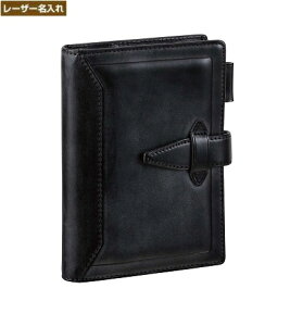 y㍞z _EB` Of |PbgTCY VXe蒠 }NVbN ubN DP3015B  yCCVXe蒠z