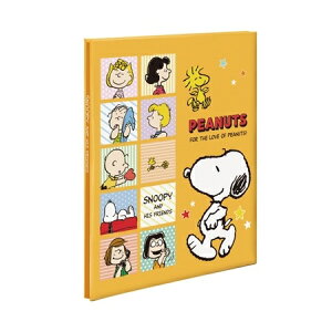 iJoV tGAo Digio A4TCY Xk[s[ AA4P-151-1