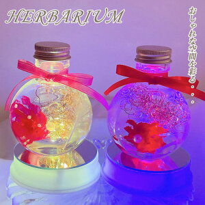 n[oE ̓ a J[l[V Mtg zCgf[ LED Əj ސEj v[g vU[uht[ hCt[ CeA G tE  킢 