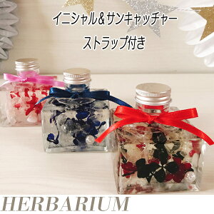 ̓ n[oE Mtg  a Əj ސEj z sN u[ bh v[g vU[uht[ hCt[ G tE 킢  蕨