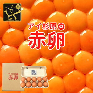 アイ杉原の赤卵 Lサイズ ご自宅用 業務用 卵 たまご 鶏卵 生卵 取り寄せ グルメ お取り寄せグルメ 美味しい 新鮮 