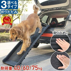 ≪ 5%OFF ≫18(水)0時～24H★限定クーポン ペットスロープ 犬 屋外用 車 コンパクト シニア 大型犬 折りたたみ 滑り止め ドッグステップ 屋外 耐荷重60kg ドッグスロープ ペットステップ ペット用スロープ 階段 折りたたみ式 スロープ 犬用スロープ 持ち運びペット用階段ステ