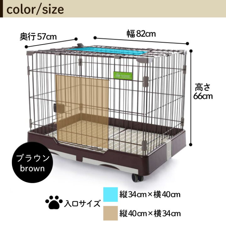 楽天市場】【 半額 ＆ 5% 】14(火)19時〜29H先着クーポン☆ ペット 