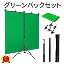 楽天市場】グリーンバック セットの通販