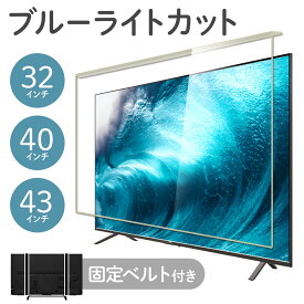 テレビ 保護 パネル カバー 子供 子ども 43 アクリル 液晶 液晶テレビ 保護パネル アクリル製 液晶テレビ保護パネル 32インチ 40インチ 43インチ 32型 40型 43型 スリム クリア クリアタイプ テレビ用 赤ちゃん 画面保護 傷防止 アクリル板 透明 傷 汚れ 防止 フィルター
