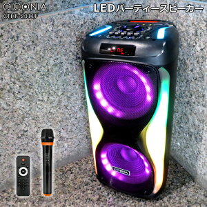 y z & 5% z10()0`26HN[| Xs[J[ bluetooth XeI |[^uXs[J[ CXXs[J[ CICONIA CTHF-2311F LED p[eB[ obe[ CX}CN R