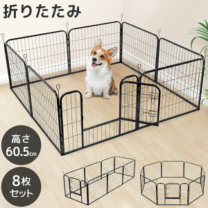 y z & 10% z4()17`撅N[| y 60.5cm z ybgT[N ܂肽 P[W  Q[W O ^ er CAEg R pl L ybgtFX O ܂肽 ^