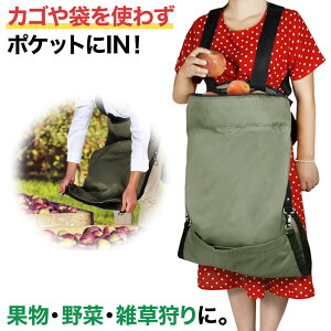 K[fGv K[fjO Gv nJS n nobO n JK[Gv K[f J e c[obO EGXgobO np K[fobO ʕ