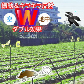 楽天市場 モグラ退治 プロペラの通販