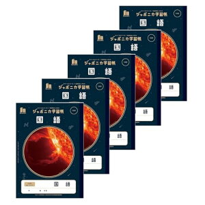 VEm[g wK W|jJwK F JAXAďCXy[XV[Y B5  15s c[_[ 5pbN JXL-13*