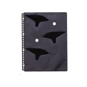 qgu DVD t@C[ CD|Pbg A4S 30 5 G49130