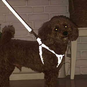 ペティオ (Petio) 犬用胴輪 フラッシュソフトハーネス SSサイズ ブラック