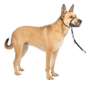 PetSafe（ペットセーフ）犬の引っ張り防止グッズ ジェントルリーダー ヘッドカラー ブラック Mサイズ