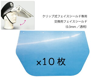 �����p�t�F�C�X�V�[���h�i10���j�@�N���b�v���t�F�C�X�V�[���h��p