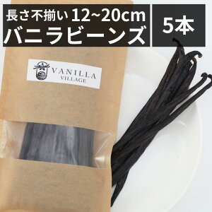 ojr[Y ysz y5{z y12`20cmzojr[Yy[Xg ojGbZX ojy[Xg oj Ɩp yV X[p[SALE }\ u{ ^q` N