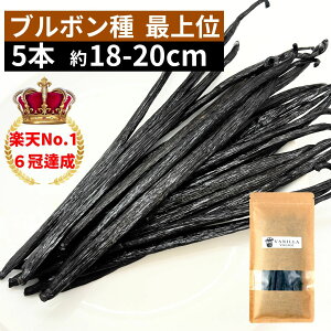 ojr[Y yu{zy5{zyŏʁEɑSE18-20cmȏz ojr[Yy[Xg ojGbZX ojy[Xg oj Ɩp yV X[p[SALE }\