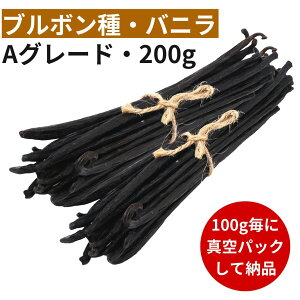 y2Nԕۑ\I100gɐ^pbNzojr[Y yu{z y200gz yAO[h 17cmȏz ojr[Yy[Xg ojGbZX ojy[Xg oj Ɩp yV X[p